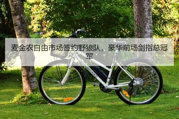 mai-jin-nong-zi-you-shi-chang-qian-yue-ye-lang-dui-hao-hua-qian-chang-jian-zhi-zong-guan-jun-2-908.jpg
